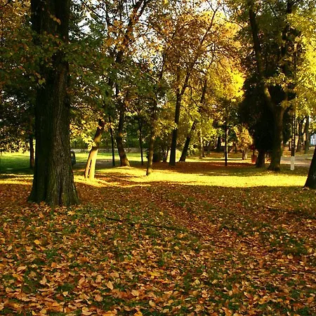 Palac W Rybnej Hotel Tarnowskie Góry
