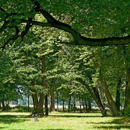 Hotel Palac W Rybnej